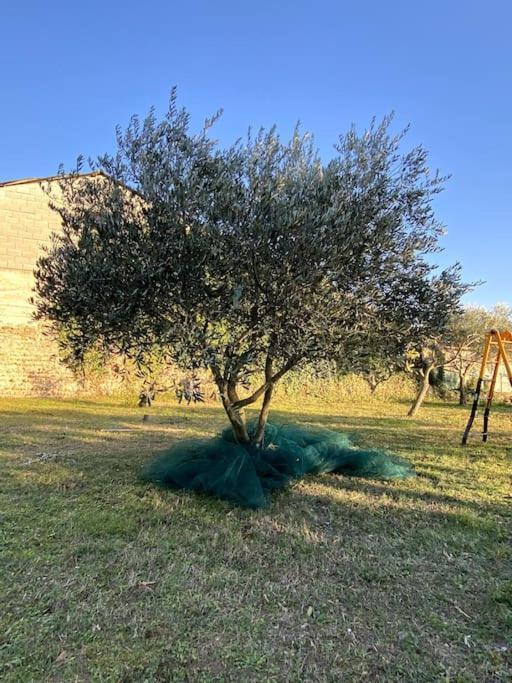 Le Nomade En Provence Bed & Breakfast Bouchet  Dış mekan fotoğraf