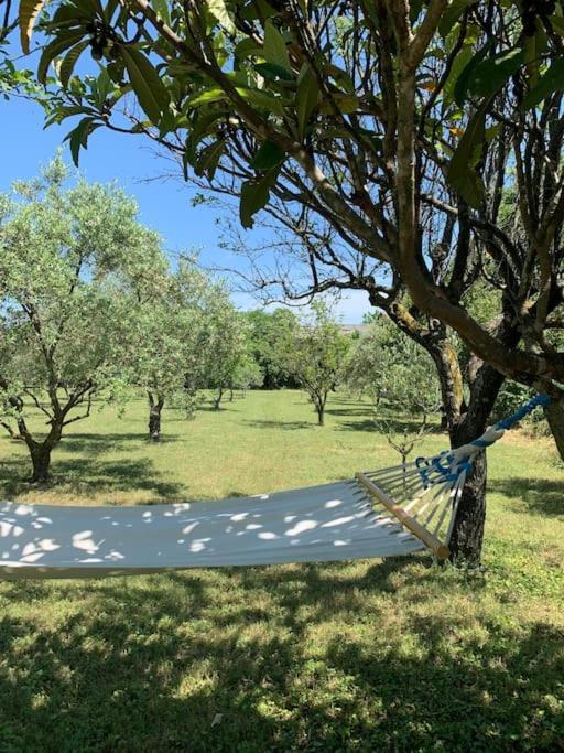 Le Nomade En Provence Bed & Breakfast Bouchet  Dış mekan fotoğraf