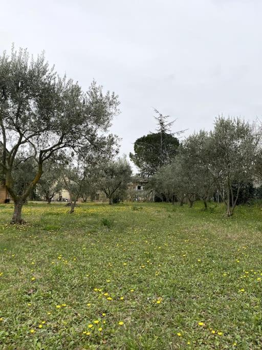 Le Nomade En Provence Bed & Breakfast Bouchet  Dış mekan fotoğraf