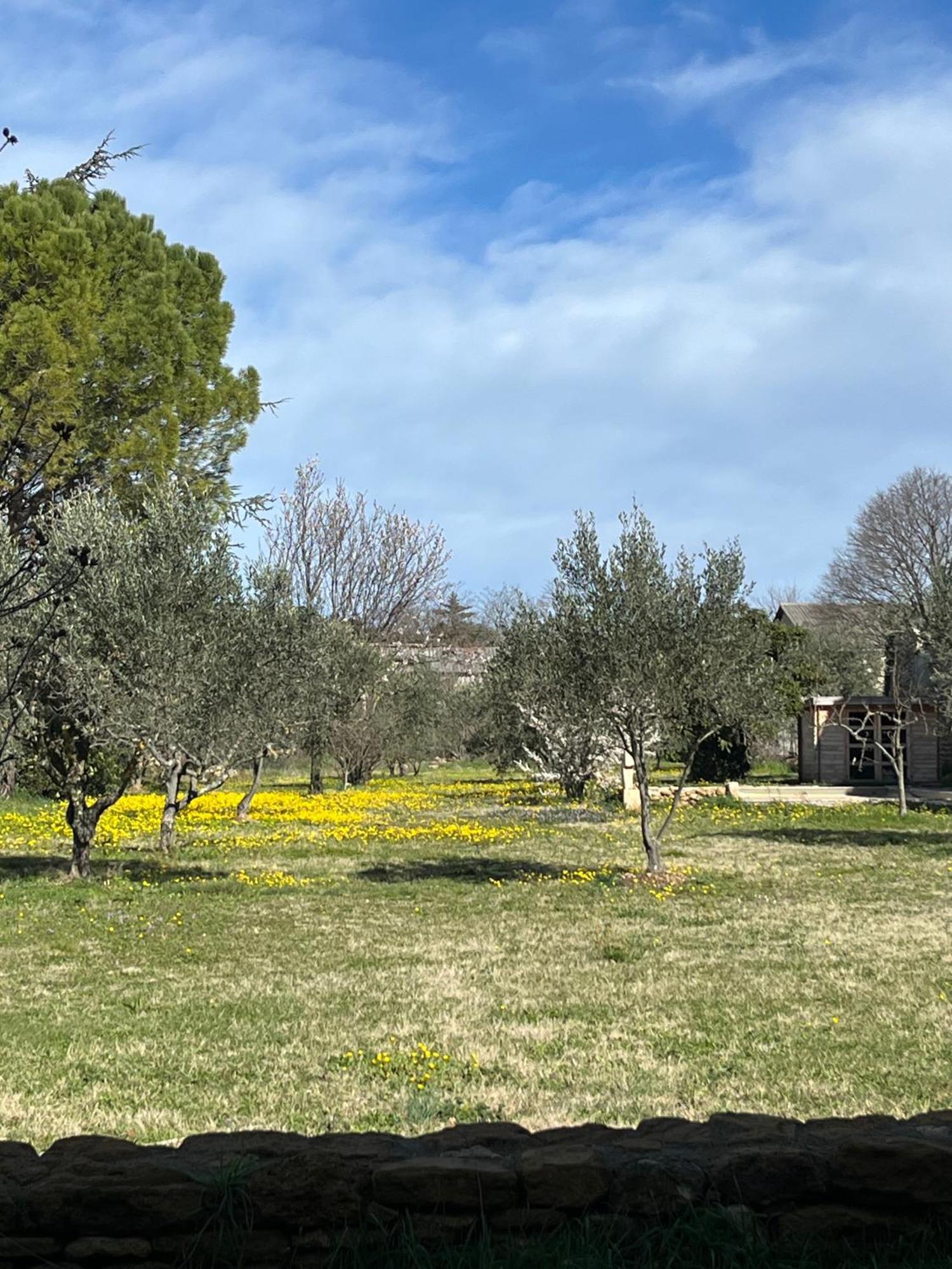 Le Nomade En Provence Bed & Breakfast Bouchet  Dış mekan fotoğraf